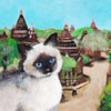 Myanmar Birman Cat thumbnail